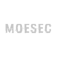MoeSec.com Website Security
