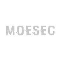 MoeSec.com Website Security