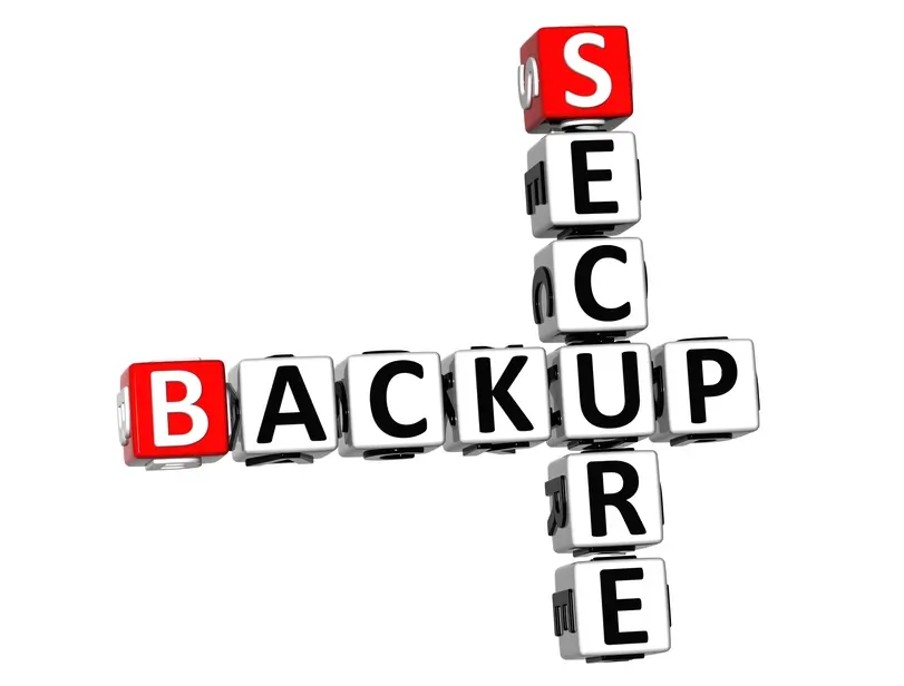 website backups
